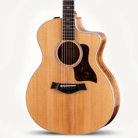 50th Anniversary GS Mini-e Rosewood SB LTDIndian Rosewood
